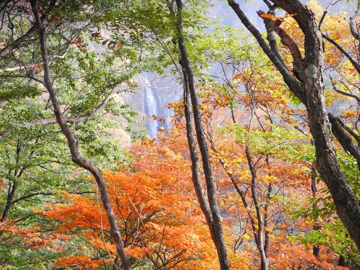 Yudanaka Onsen Yamazakiya Hotel Yamanouchi  Buitenkant foto